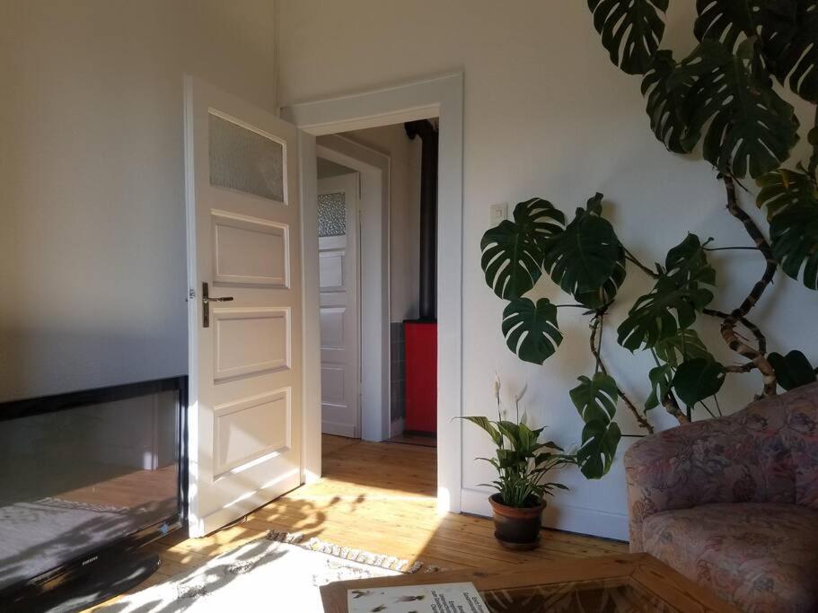 Ferienwohnung Alte-Schule-Kail Wohnung 2 Экстерьер фото