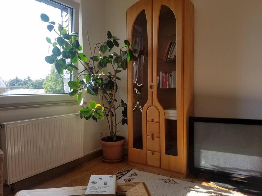 Ferienwohnung Alte-Schule-Kail Wohnung 2 Экстерьер фото
